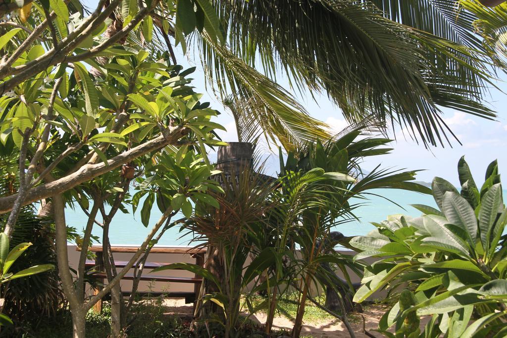 The Boardroom Beach Bungalows บ่อผุด ห้อง รูปภาพ