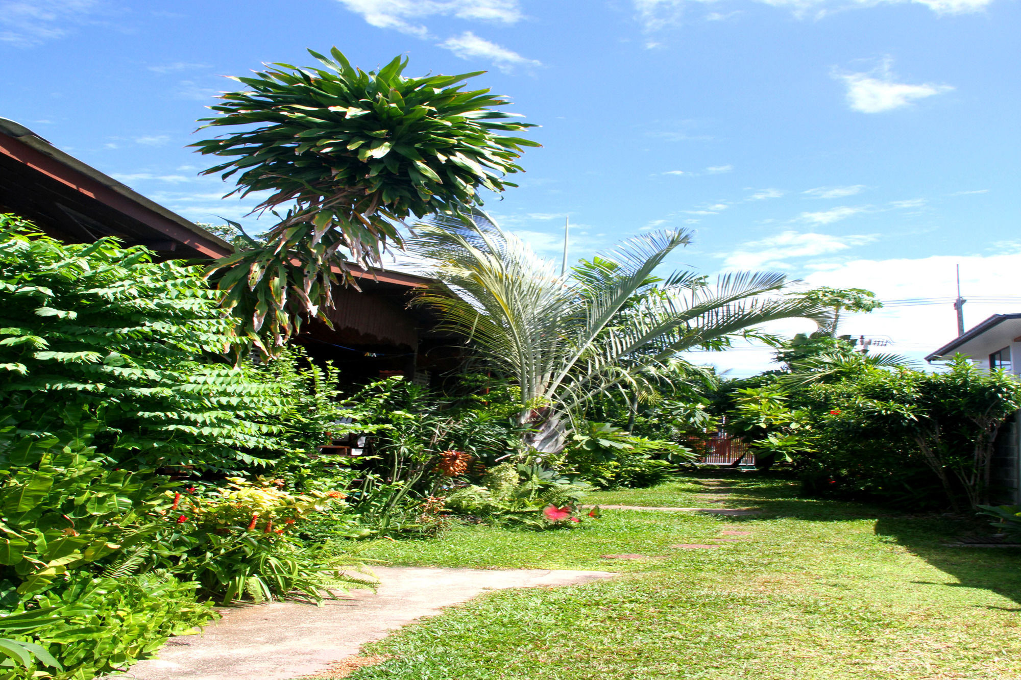 The Boardroom Beach Bungalows บ่อผุด ภายนอก รูปภาพ