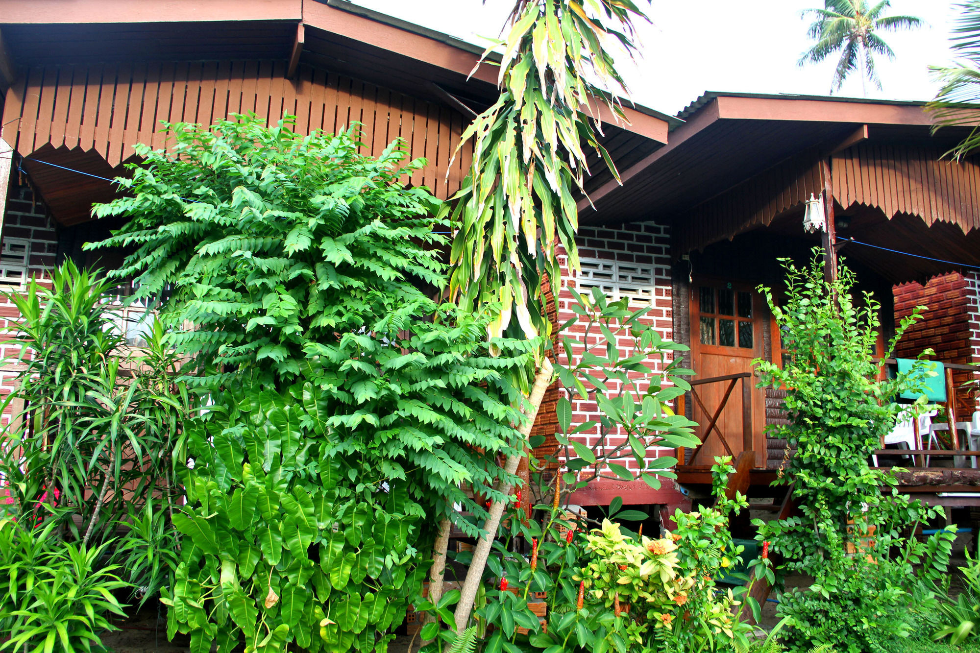 The Boardroom Beach Bungalows บ่อผุด ภายนอก รูปภาพ